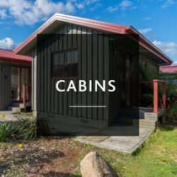 CABINS CABINS